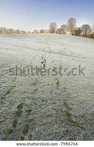 Cold bright December Day with footprints in the Frost. Taken with Wide angle lens in Hexham Northumberland, England