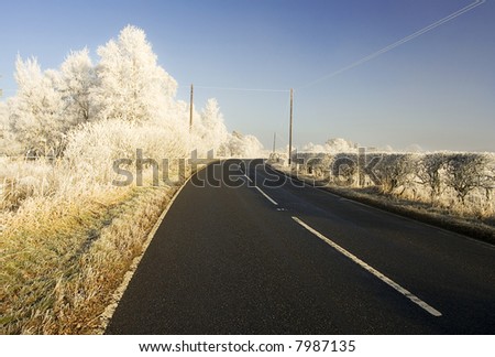 Winters Drive, with stunning light and Frosts. Taken with wide angle Lens in Northumberland England.