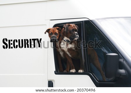 Security Van with two boxer Dogs