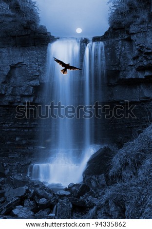Natures capture, Bird of Pray hovers by stunning Waterfall silhouetted by the Moon