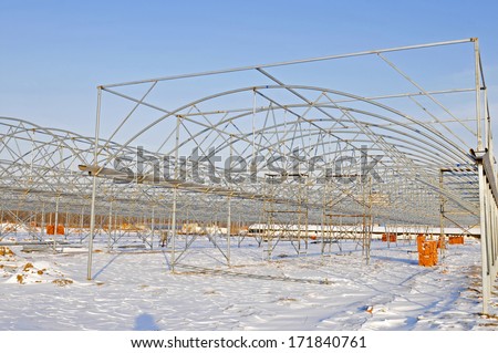 Is constructing the modern shed vegetables