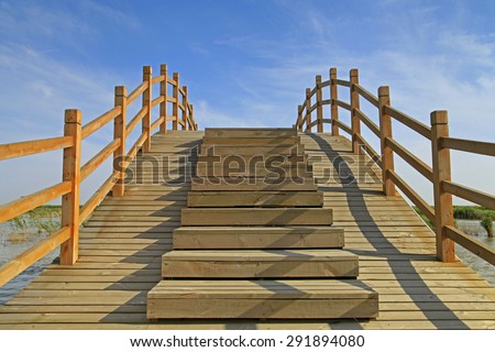 Wooden bridge under the blue sky in the wetland park