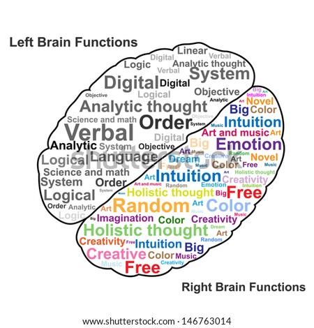 the left and right functions of the human brain the left and right functions of the human brain
