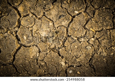 Dry crack soil on dry season, Global worming effect.