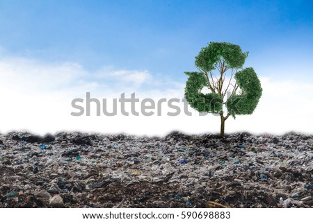 Concept recycle big alone tree in the garbage .Tree of life.