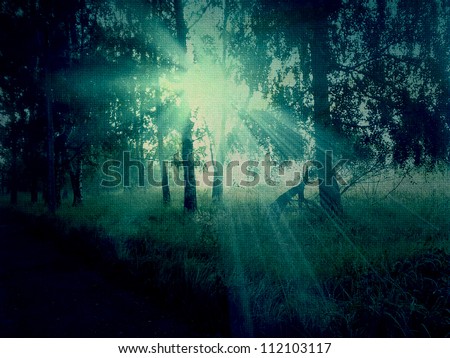 Abstract grunge image of dark forest background.