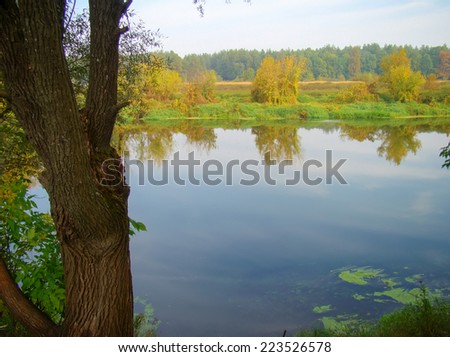 Calm river in autumn forest in the morning time.