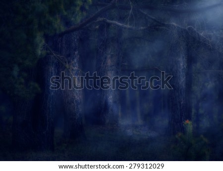 Dark deep magical forest with fog, halloween background.