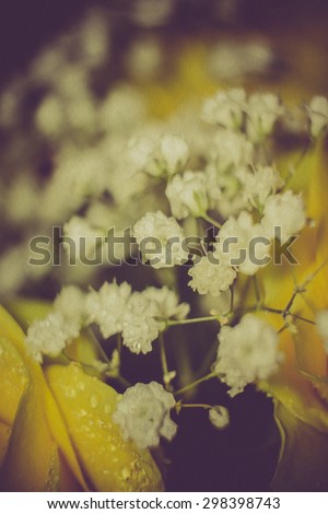 Small white flowers, gypsophila (baby\'s breath) in bouquet.