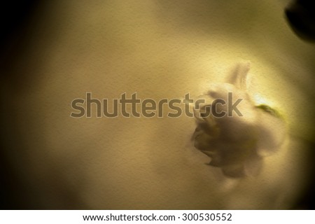 Small white flowers, gypsophila (baby's breath) in a bouquet.