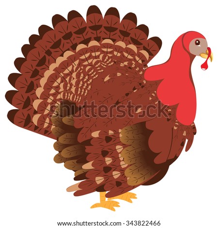 Cute stylized cartoon turkey bird, Thanksgiving turkey.