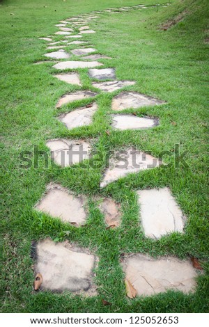 Stone path on green grass