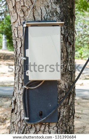 electrical switch panel on tree