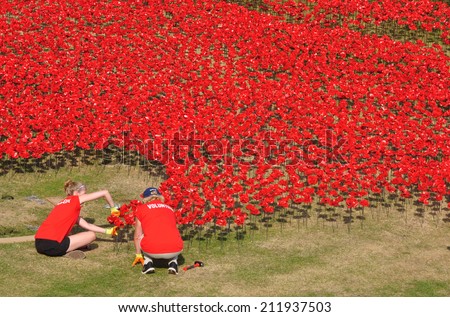LONDON - AUGUST 7. Volunteers help install the 888,246 ceramic poppies on August 7, 2014 to commemorate the First World War British and colonial military fatalities, located at the Tower of London.