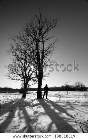 A silhouetted hiker standing beneath a pair of bare trees on a frigid winter day in Minnesota.