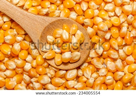Bulk of corn grains / beans on a wooden spoon. Vegetarian / vegan food.