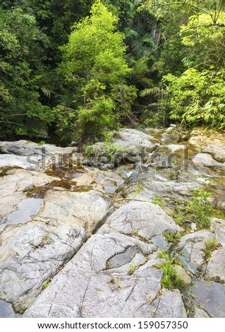 Flatten stone formation and texture in rain forest jungle