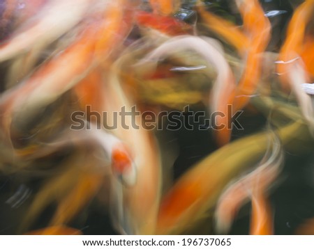 Abstract motion blur carps fish in pond for background