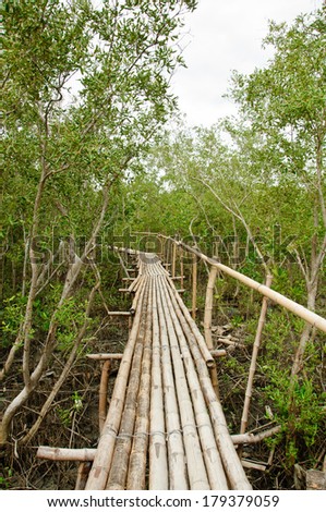 Bamboo walkway in Mangrove forest at Petchabuti, Thailand