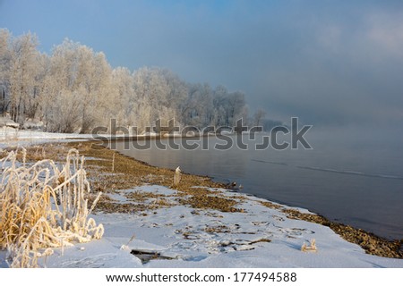 Fog over the river. On the bank of the river grass and trees covered with snow. Fog lights illuminated the setting sun.