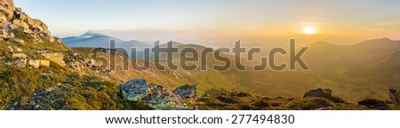 Panorama of the mountain range with a slope with grass, flowers and rocks in the foreground and a mountain valley at dawn. Carpathian Mountains.
