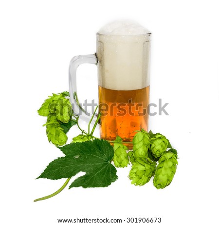 Mug with beer and branch of hops with leaves and strobiles on a light background. Isolation.