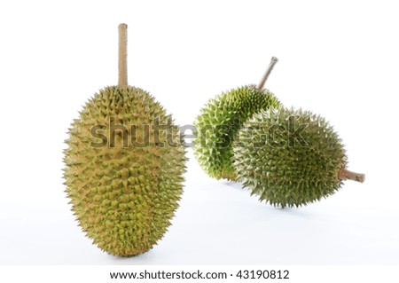 Durian, the king of fruits of South East Asia on white background.