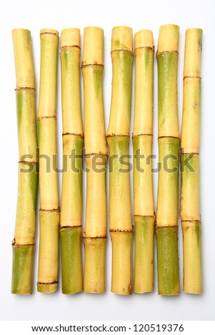Raw Sugar cane isolated on white