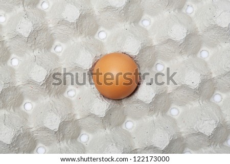 Single Chicken egg in paper tray