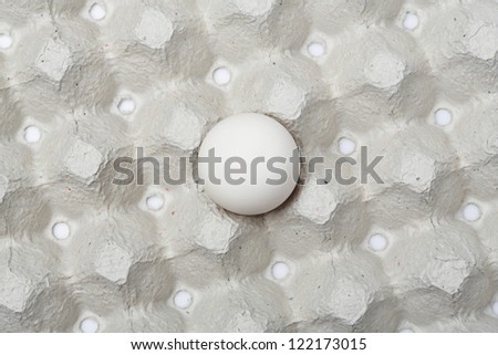 Single duck egg in paper tray