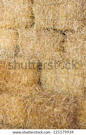 Stacks of rice straw bales background