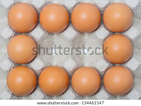 Chicken eggs on paper tray