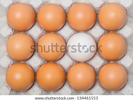 Duck egg among chicken eggs on paper tray