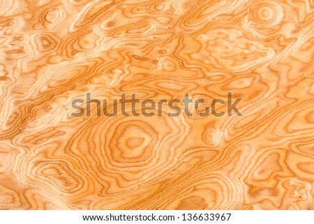 Close up real burl wood grain texture background