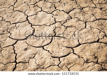 Close up cracked soil texture in strong sunlight