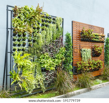 Beautiful vertical garden in city around office building