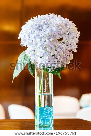 Close up colorful hydrangea flower with leaf in glass vase on wooden table