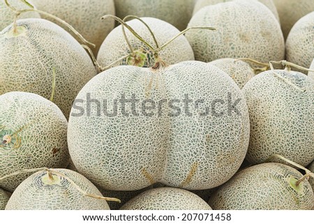 Close up organic twin Japanese rock melon sale in market