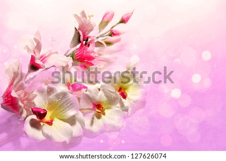 bouquet of flowers on a gentle lilac background