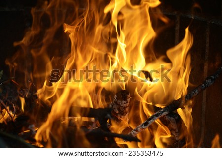 Detail picture of the flames from a burning wood