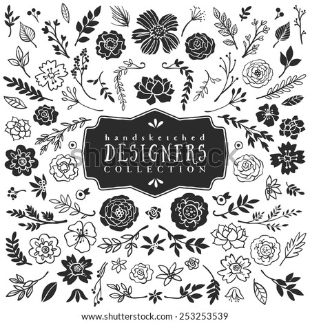 Vintage decorative plants and flowers collection. Hand drawn vector design elements