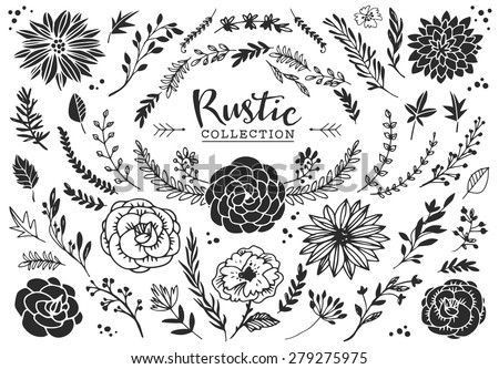 Rustic decorative plants and flowers collection. Hand drawn vintage vector design elements.