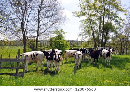 dairy farming