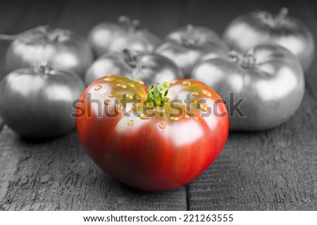 Red and black tomatoes. Creative concept.