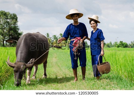 Couple farmer in farmer suit with on rice fields