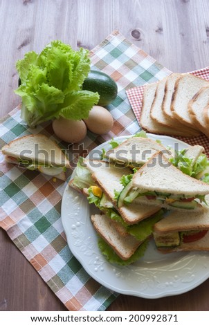 Vegetarian sandwich/Vegetarian sandwich