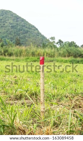 red colored wooden pole for the setting out of a Field survey