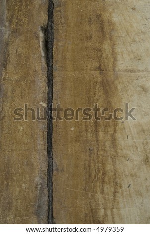 A seam between two concrete segments in a wall with water damage.