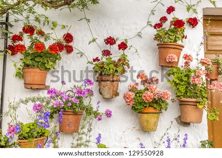 Wall is a typical Andalusian patio