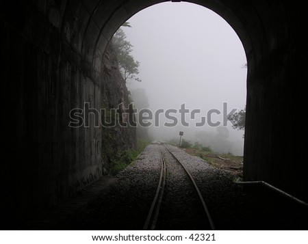Misty Path Ahead